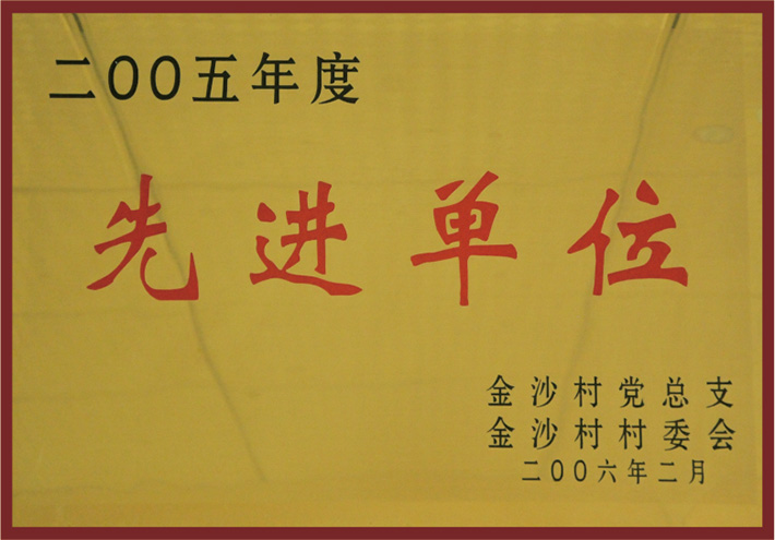 2005年度村先进单位